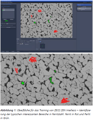 Abbildung 1: Oberfläche für das Training von ZEISS ZEN Intellesis – Identifizierung der typischen interessanten Bereiche in Ferritstahl: Ferrit in Rot und Perlit in Grün.